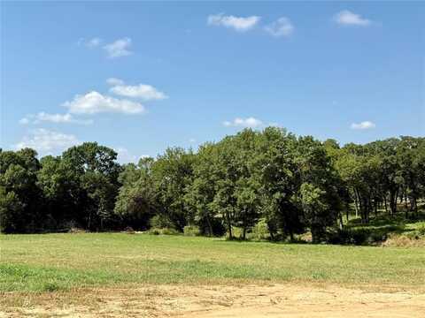 Lot 17 Colt Road, Springtown, TX 76082