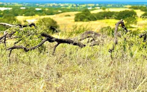 80 E FM 572, Goldthwaite, TX 76844