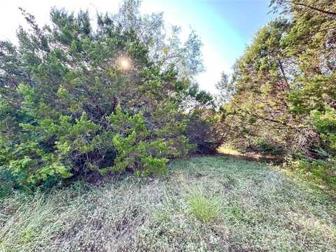 45001 Fringewood Drive, Whitney, TX 76692