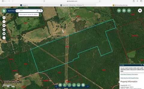 Tbd County Road 4244, Pittsburg, TX 75686