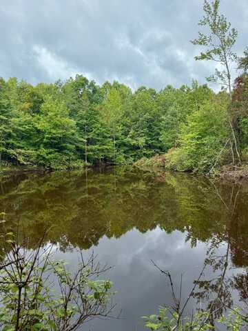 0 Highway 395, Noxapater, MS 39346
