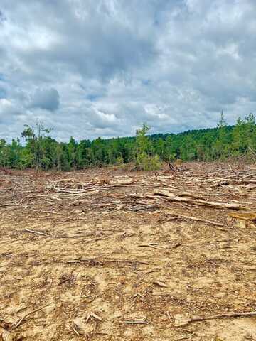 Highway 395, Noxapater, MS 39346