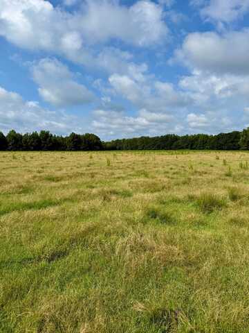 2061 Lovorn Road, Louisville, MS 39339