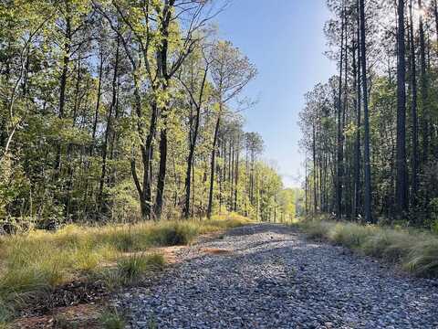 0 Smith Chapel Road, Lizella, GA 31052