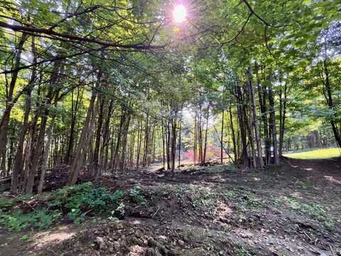 VL Ritter Rd, Cattaraugus, NY 14719