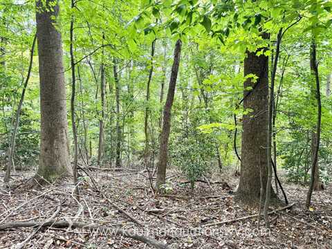 0 Chestnut Hill Rd, Harpers Ferry, WV 25425
