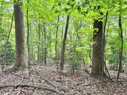 0 Chestnut Hill Rd, Harpers Ferry, WV 25425