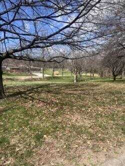 lot 8 blk 3 Oak, Syracuse, NE 68446