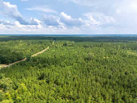 000 Ouachita 2 Rd-39.52 acres, Stephens, AR 71764