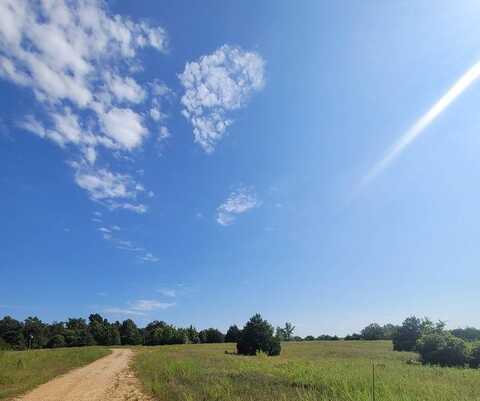 Sec 22 State Hwy 160 East, Doniphan, MO 63935