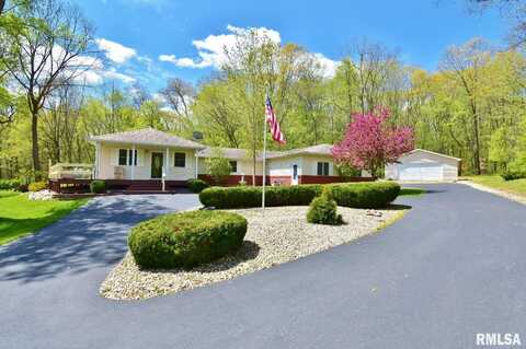 60 BIRCHWOOD Court, Dahinda, IL 61428