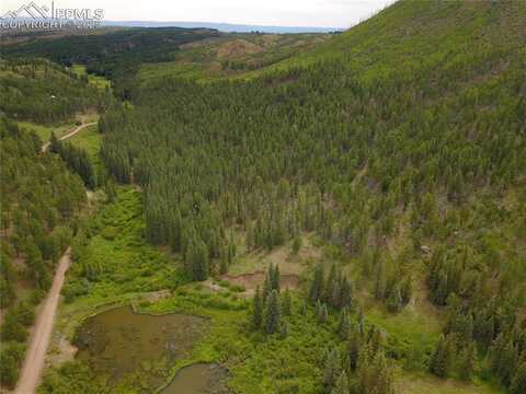 10223 Trail Creek Road, Florissant, CO 80816