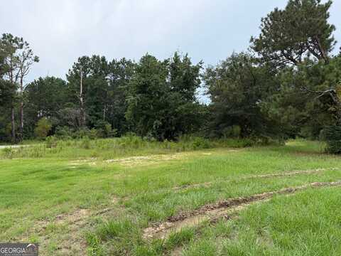 231 Sandy Lane, Brooks, GA 30205
