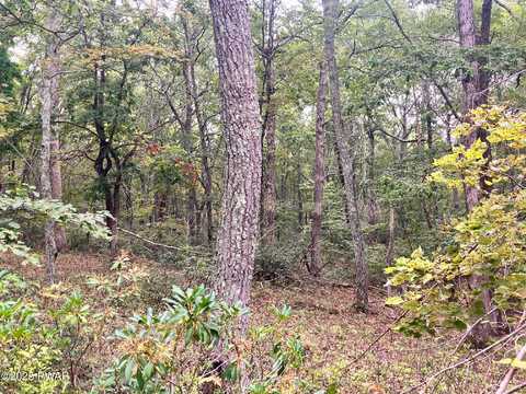 Philwood Lane, Milford, PA 18337