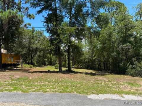 2255 W Ingrid Lane, Citrus Springs, FL 34434