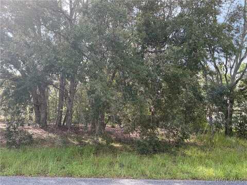 8402 N Bolder Drive, Citrus Springs, FL 34434