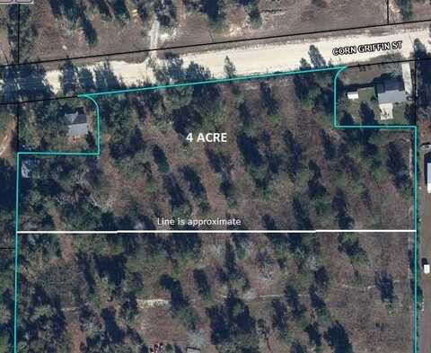 0 Corn Griffin St, Wewahitchka, FL 32465