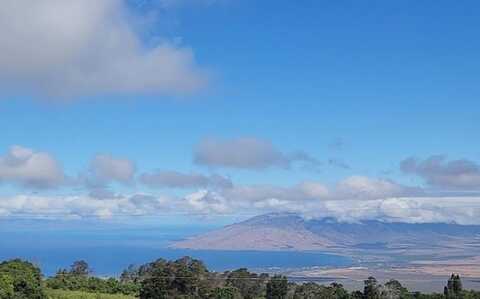 487 Cross Rd, Kula, HI 96790