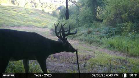 N45211 Franson Rd Roads N, Strum, WI 54770