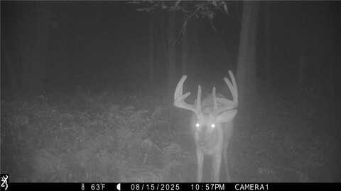 N45211 Franson Rd Roads N, Strum, WI 54770