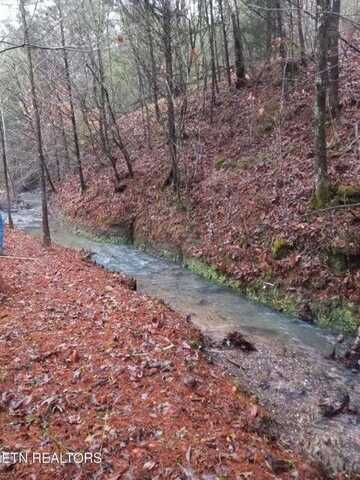 311 Laurel Mountain Loop, Madisonville, TN 37354