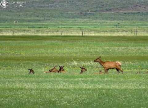 Tbd County Road 119, Westcliffe, CO 81252