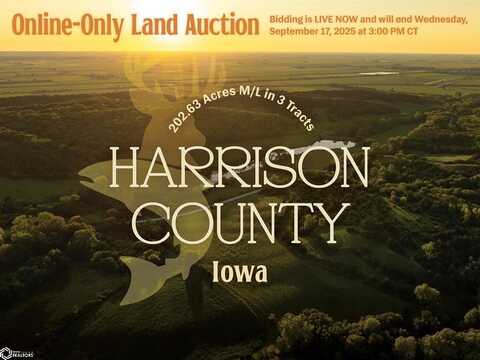 Locust Avenue, Missouri Valley, IA 51555