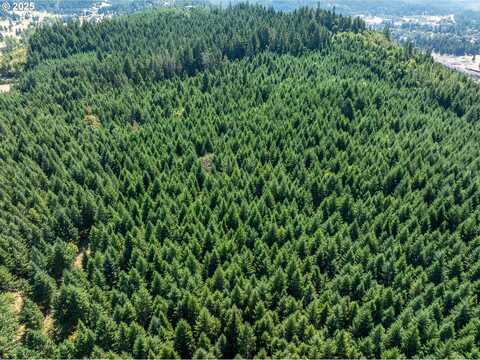 0 2nd ST, Oakridge, OR 97463