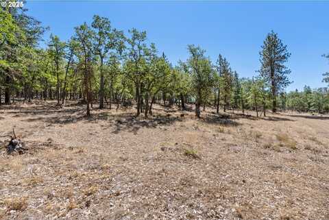NKA Wilderness Loop RD, Goldendale, WA 98620