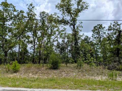 2450 W Rutland Drive, Citrus Springs, FL 34434