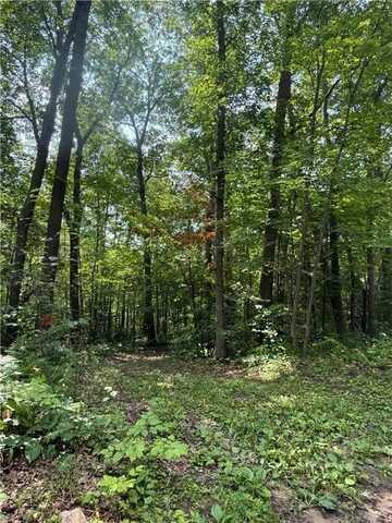Xxx Marble Drive, Cushing, MN 56475