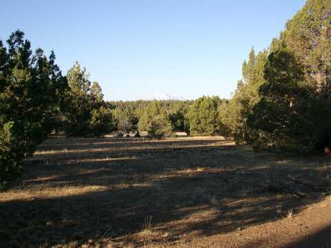 XYZ E Davis Rd, MacDoel, CA 96058