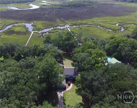 411 Tivoli Marsh Road, Richmond Hill, GA 31324