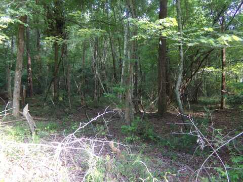 70 S Brick Church Road, Sumter, SC 29051