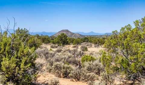 20 acres mile marker 359 Hwy 285, Ojo Caliente, NM 87549