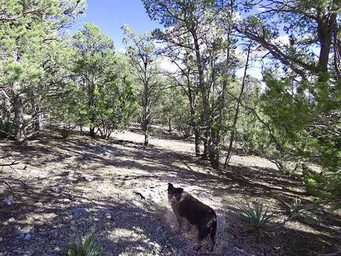 Velasquez, Glorieta, NM 87535
