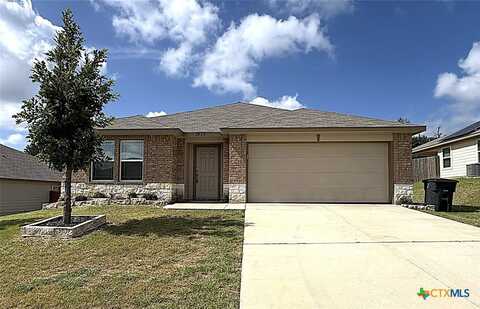 3810 Flat Rock Mountain Drive, Killeen, TX 76549
