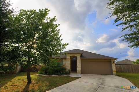 115 Encina Cove, San Marcos, TX 78666