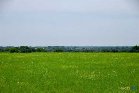 Tract 4 Company Field Road, Schulenburg, TX 78956