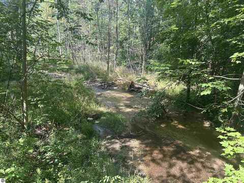 Parcel 2 S M-88, Bellaire, MI 49615