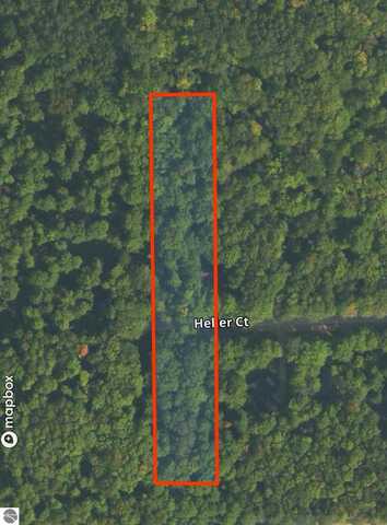 13218 NE Heller Court, Kalkaska, MI 49646