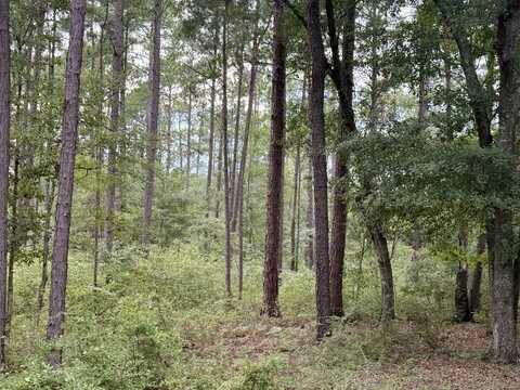 00 Rupp Road, Ochlocknee, GA 31773
