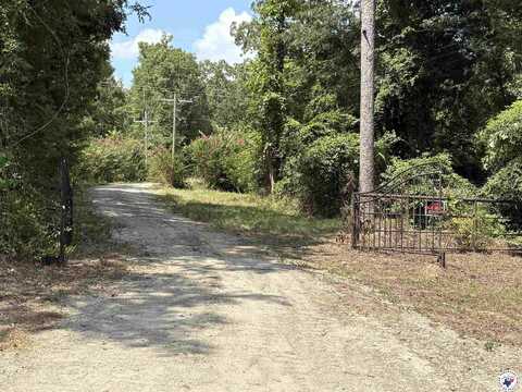 1205 Hillcrest Ave, Lone Star, TX 75668