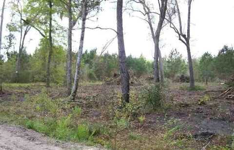 Vista Road, Monticello, FL 32344