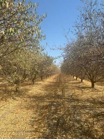 18897 Rd 96, Tulare, CA 93274