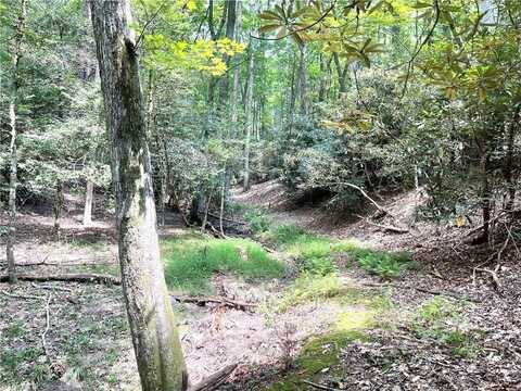 Tbd Buck Drive, Hays, NC 28649