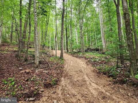 LOT 16-A WITS END, MATHIAS, WV 26812
