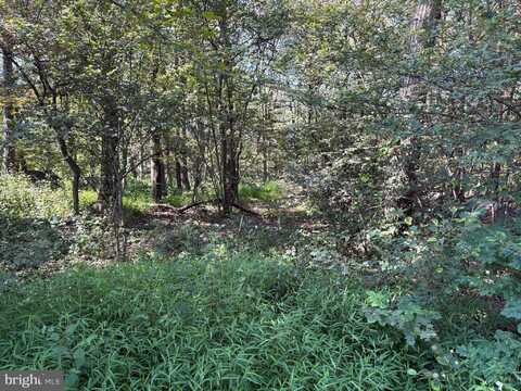 4.16 AC FALCONWOOD ROAD, PAW PAW, WV 25434