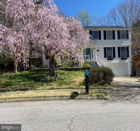 8690 YOUNG COURT, SPRINGFIELD, VA 22153