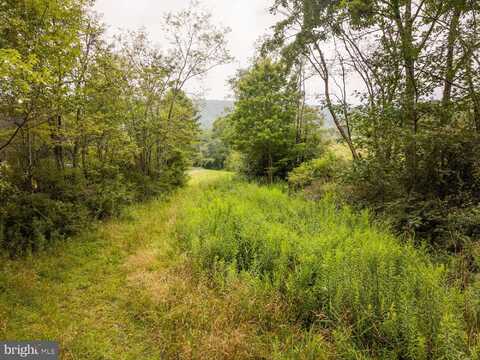 1055 OLD WILSON ROAD, SWANTON, MD 21561
